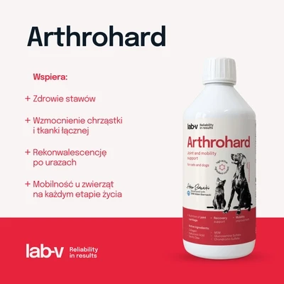 pol_pm_LAB-V-Arthrohard-500ml-Preparat-na-wsparcie-stawow-dla-psa-i-kota-67967_10.webp