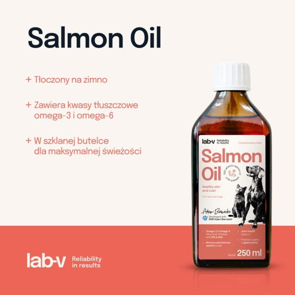 pol_pl_Lab-v-Salmon-Oil-Olej-z-lososia-100-dla-psa-i-kota-250-ml-w-szklanej-butelce-73_2.jpg