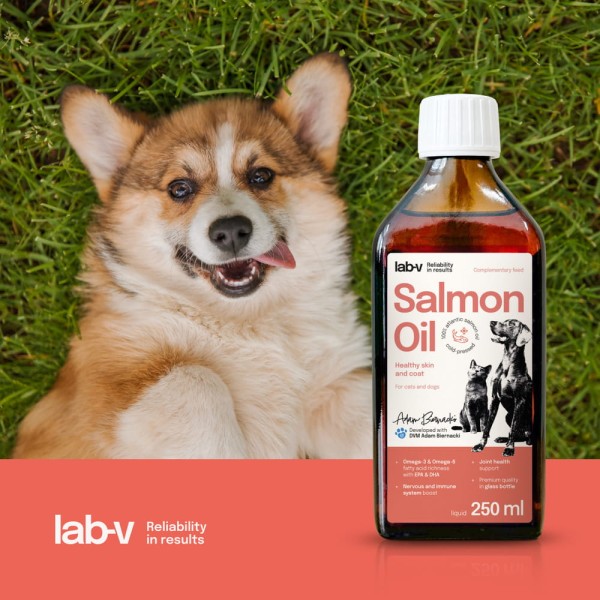pol_pl_Lab-v-Salmon-Oil-Olej-z-lososia-100-dla-psa-i-kota-250-ml-w-szklanej-butelce-73_3.jpg