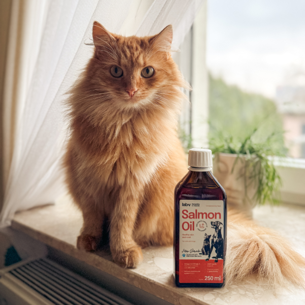 pol_pl_Lab-v-Salmon-Oil-Olej-z-lososia-100-dla-psa-i-kota-250-ml-w-szklanej-butelce-73_5.png