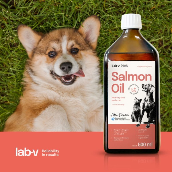 pol_pl_Lab-v-Salmon-Oil-Olej-z-lososia-100-dla-psa-i-kota-500-ml-w-szklanej-butelce-74_2.jpg