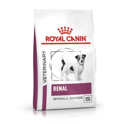 royal-renal-small-dog.jpg