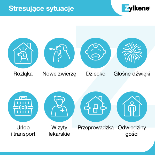 Zylkene_stresujące_sytuacje (1).png