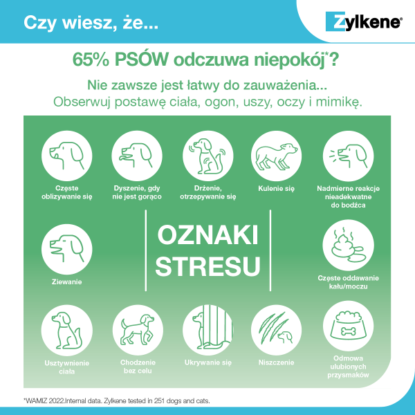 Zylkene_oznaki_stresu_u_psa.png
