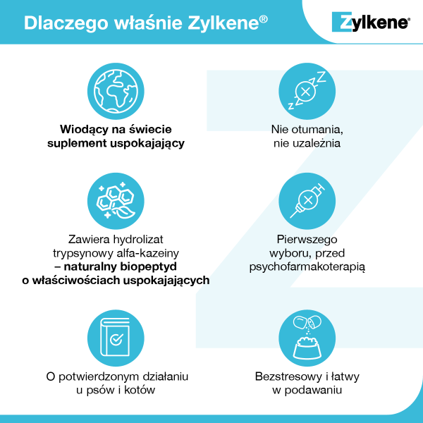 Zylkene_dlaczego.png