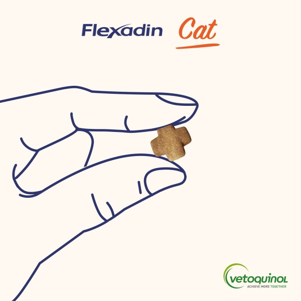 Flexadin_cat_wielkosc-chewsa.jpg