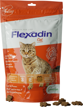 Vetoquinol Flexadin Cat, smakołyk na stawy dla kotów, 60 kąsków