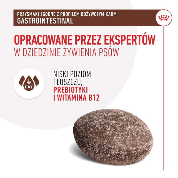 RC-VHN-GiCanineTreat-CV-2-pl_PL.pdf.jpeg