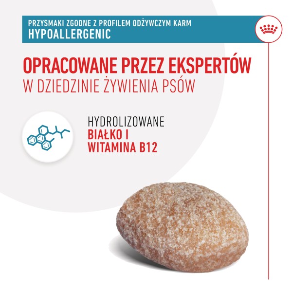 RC-VHN-HypoCanineTreat-CV-2-pl_PL.pdf.jpeg
