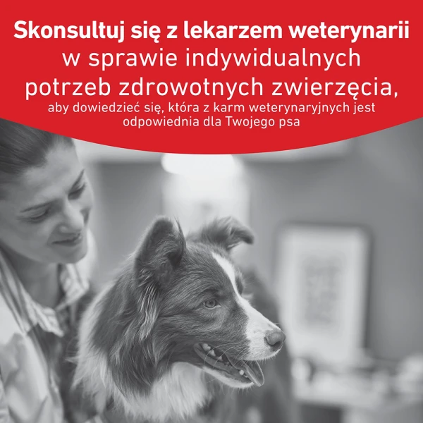 1- Royal-canin-RC-VHN-Glycobalance-pasztet-puszka-rekomendacjaf.jpeg