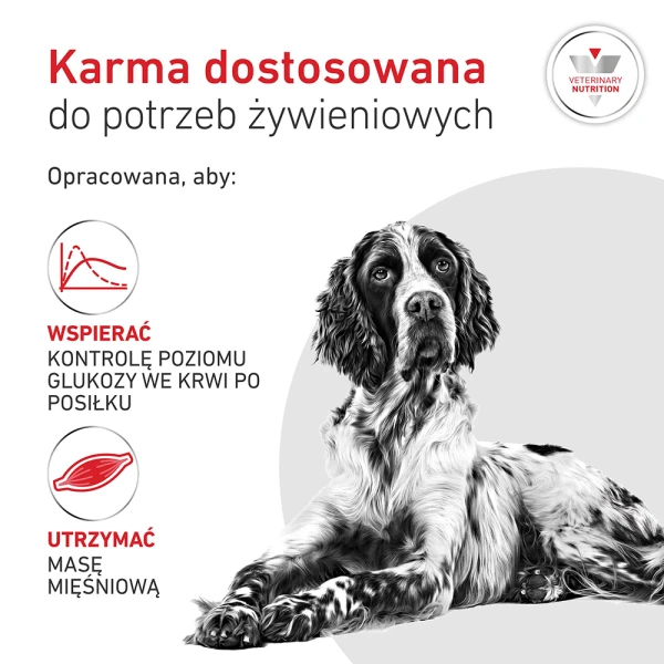 2- Royal-canin-RC-VHN-Glycobalance-pasztet-puszka-zalety.jpeg