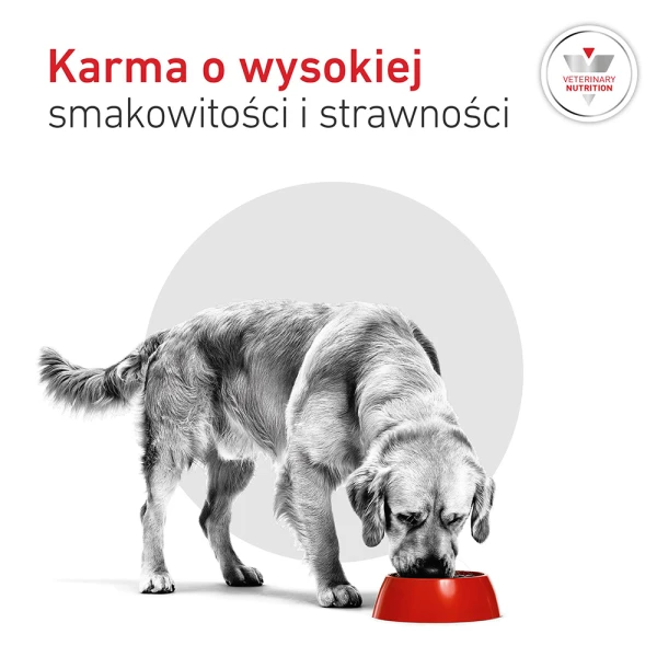 4- Royal-canin-RC-VHN-Glycobalance-pasztet-puszka-zalety3.jpeg