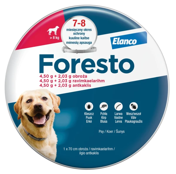 foresto duze 2.jpg