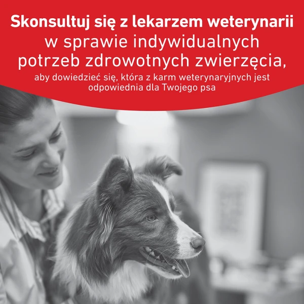 1- Royal-canin-RC-VHN-Glycobalance-karma sucha-rekomendacjaf.jpeg