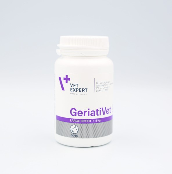 geriativet-large1.jpg