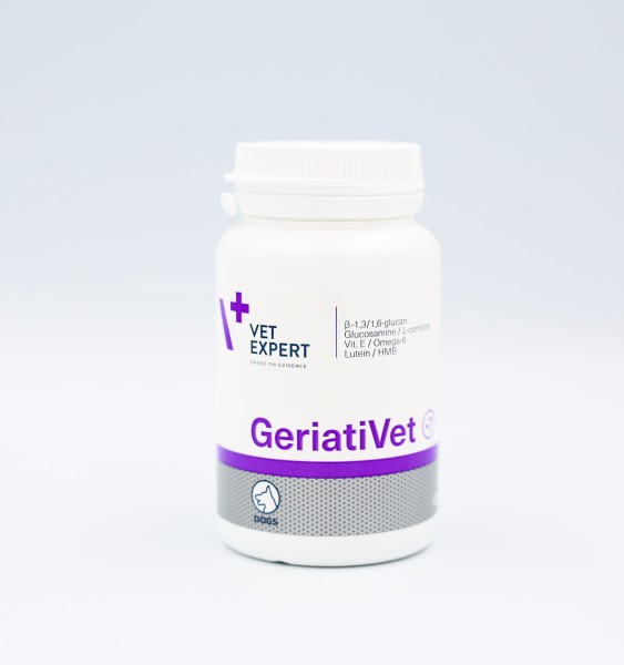 geriativet-dog-7-2.jpg