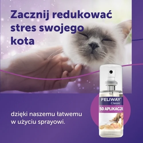 feliway-spray.webp