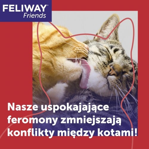 informator-feromony-dla-kota-friends-feliway.jpg