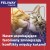 informator-feromony-dla-kota-friends-feliway.jpg
