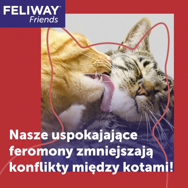 informator-feromony-dla-kota-friends-feliway.jpg