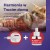 informator-feromony-dla-kota-friends-feliway-1.jpg