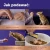 Feliway-Happy-Snack-Relaksujace-przysmaki.webp