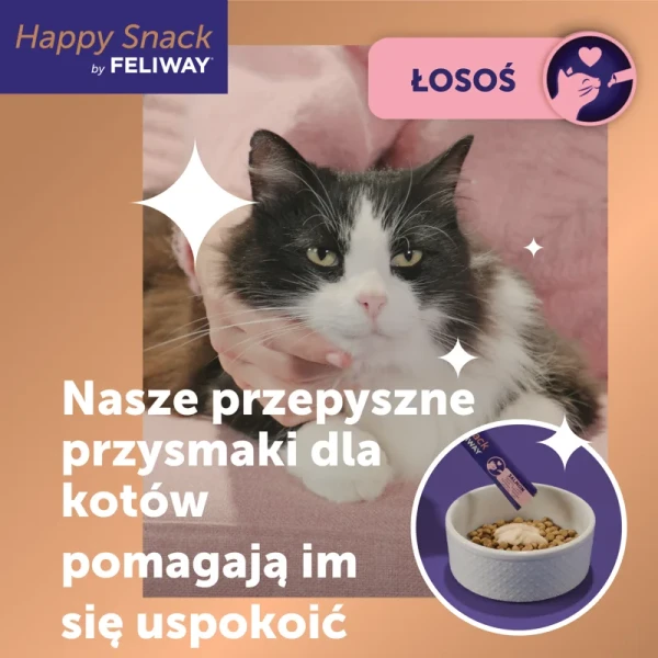 feliway losos 1.webp