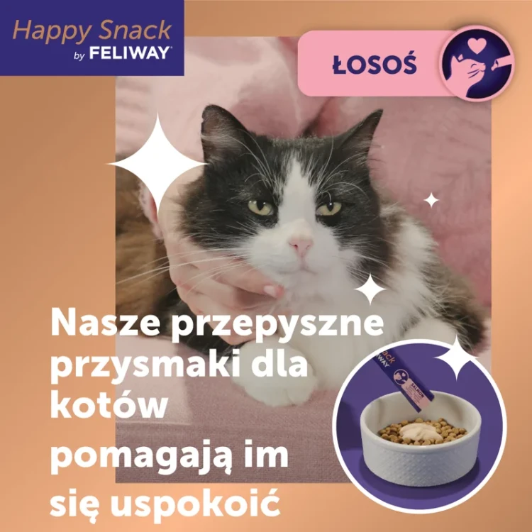 feliway losos 1.webp