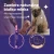 feliway losos 2.webp