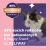 feliway losos 3.webp