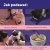 feliway losos 4.webp