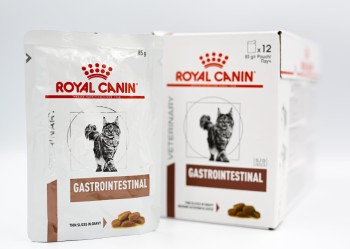 Royal Canin Gastro Intestinal Feline, saszetki dla kotów z problemami trawiennymi, 12 x 85 g