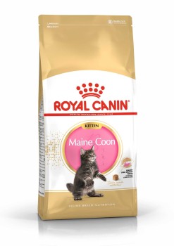 Royal Canin FBN Kitten Maine Coon, sucha karma dla kotów rasy maine coon, 2 kg