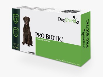DogShield Pro Biotic, probiotyk dla psów, 21 kapsułek