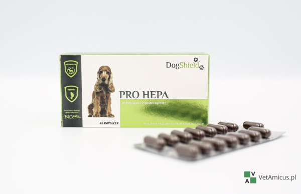 doghsield-pro-hepa.jpg