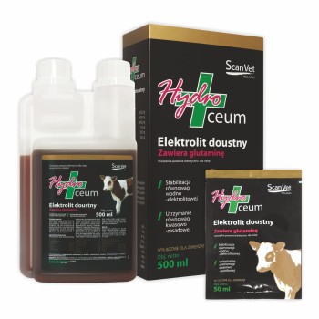 ScanVet HydroCeum, elektrolity w płynie dla cieląt, 500 ml