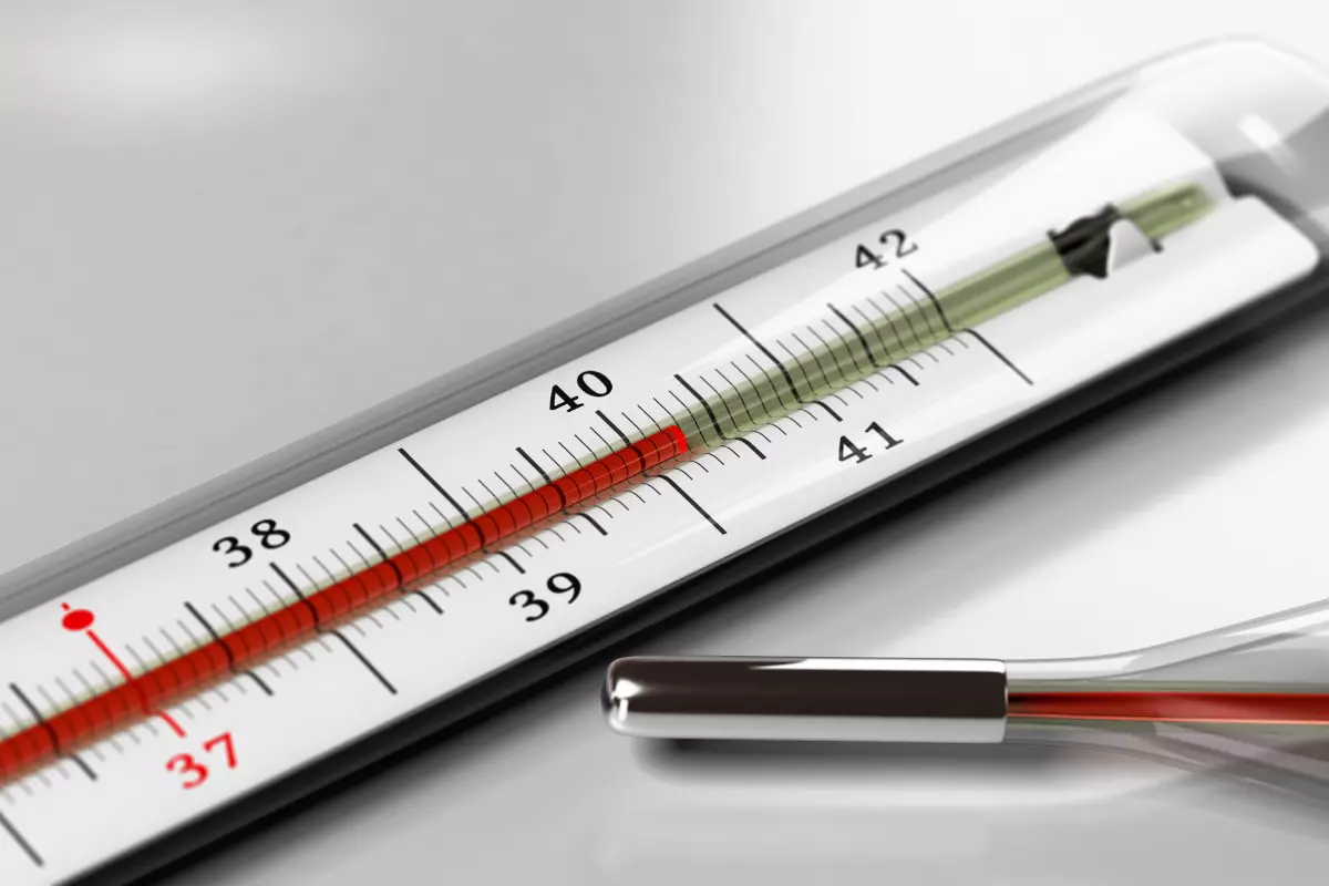 Gorączka u psa - jaka temperatura jest prawidłowa?