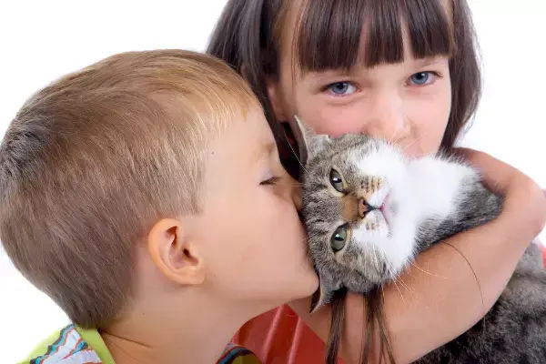 Jaka rasa kota będzie najodpowiedniejsza dla dzieci?